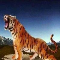方志洪