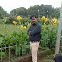 Ambreesh Pace Infotech