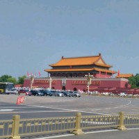 王东东