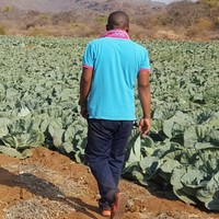 Sipho Makgaba