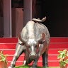 Purushottam Thakare