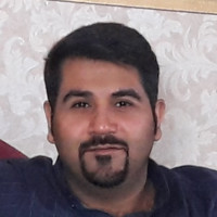 Mohammad Amin Mohammad Shahi