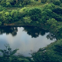 李宁波