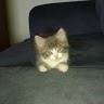Infi Nity