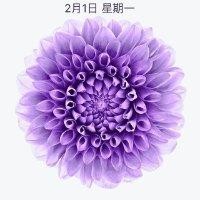 李长存