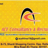 ACE Consultancy