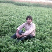 Shahid Ali ANI PUMPS