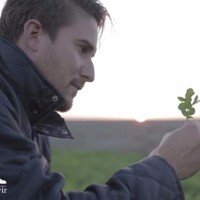 Juan José Picossi Moguer