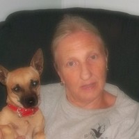 wanda t