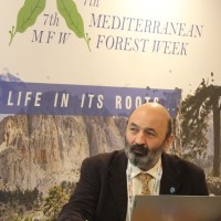 Antonio Ventre