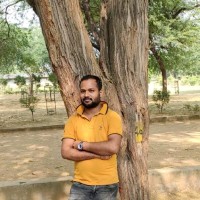 Raju Kumar Raman