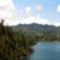 Guillermo Vargas Marin