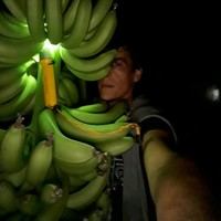 Mustafa Körhasanoğulları