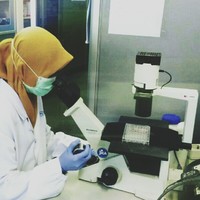 Rina Puspitasari