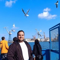 Mahmoud Muhammad Abd El-Maksoud