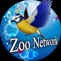 Zoo Network