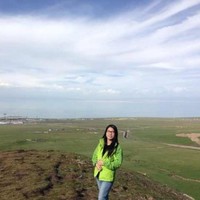 Mandy Lin