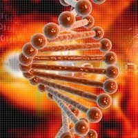 Biotechnology Journal