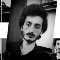 Ameer Aryan Bamzai