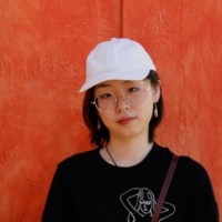 Wendi Su
