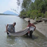 Sturgeon Rod