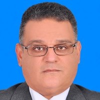 Hesham A.Hamid