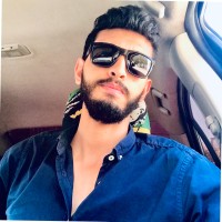 Ahmed Ans Abo-Hatb