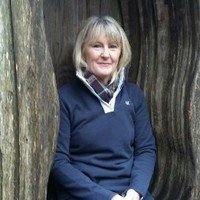 Stephanie Creighton ADI