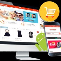 Ecommerce Development
