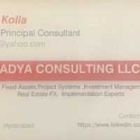 Adya Consulting LLC Consulting