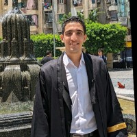 Mohamed Hesham
