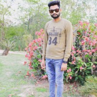 Raju Singh