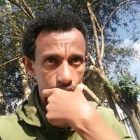 Gali Dawud