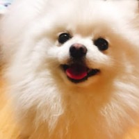 방미연
