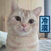 赵思慧