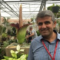 Mustafa Uzantı