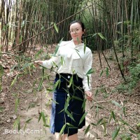 Lisa Zhao