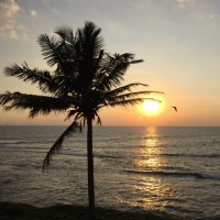 Amila Liyanage
