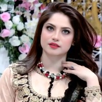 Fareed Ahmad