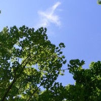 A.R.CHI.MEDE srl Laboratori e Studi di Progettazione