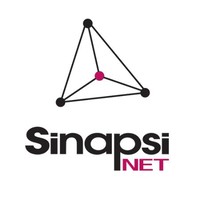 Sinapsi Net