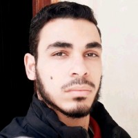 Ahmed Essawy