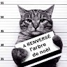 Frédéric V.