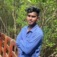 Anand Bachu