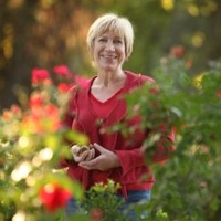 Anne Malcolm