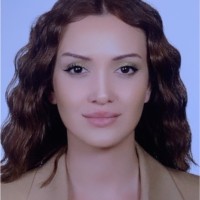 Elif Acar