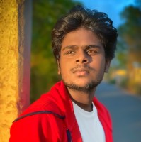 Pravin Vellingiri