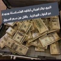 وسيم العلي