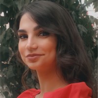 Haneen Al-hajj
