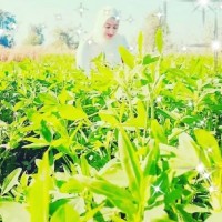 Eng. Esraa Eldefrawy 🤍🦋